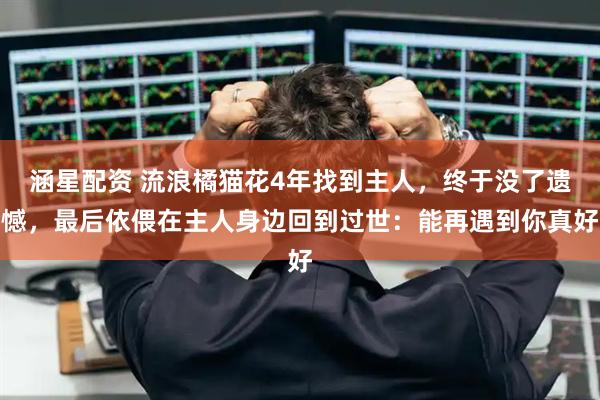 涵星配资 流浪橘猫花4年找到主人，终于没了遗憾，最后依偎在主人身边回到过世：能再遇到你真好