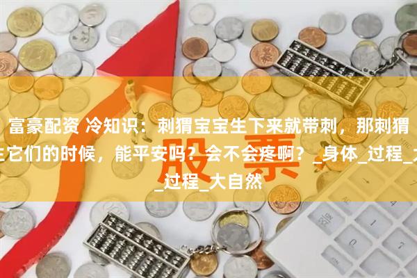 富豪配资 冷知识：刺猬宝宝生下来就带刺，那刺猬妈妈生它们的时候，能平安吗？会不会疼啊？_身体_过程_大自然